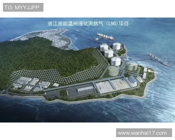 城市赛中LNG选手个人能力表现的全面分析与点评实时新闻